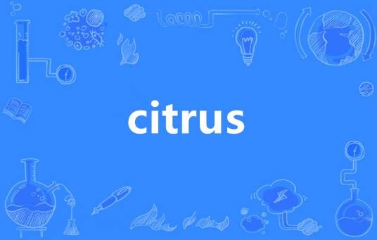 citrus（英语单词）