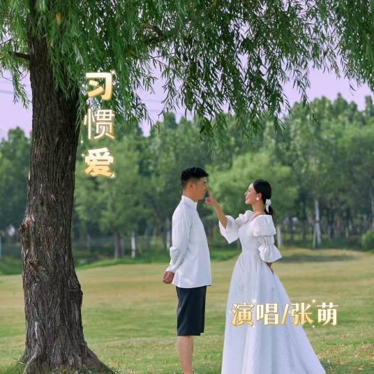 习惯爱（张萌演唱的歌曲）