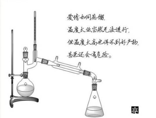 爱情化学反应（生物学）
