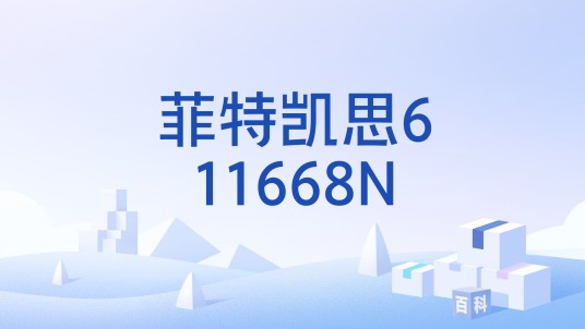 菲特凯思611668N