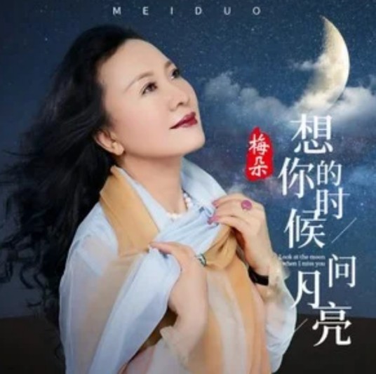 想你的时候问月亮（梅朵演唱的歌曲）