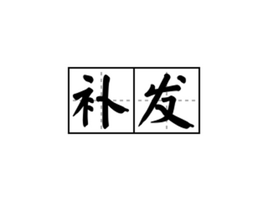 补发（汉语词语）