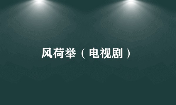 风荷举（电视剧）