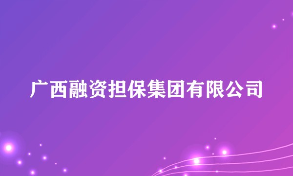 广西融资担保集团有限公司