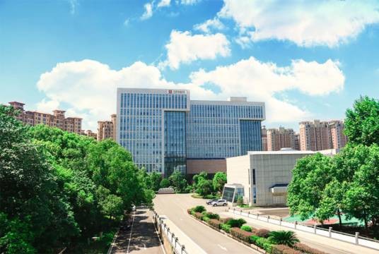 湖南省通信产业服务有限公司