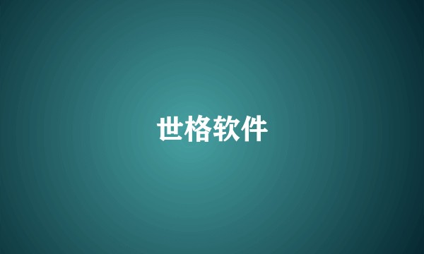 世格软件