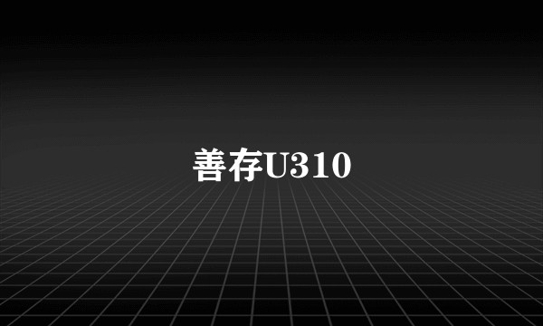 善存U310