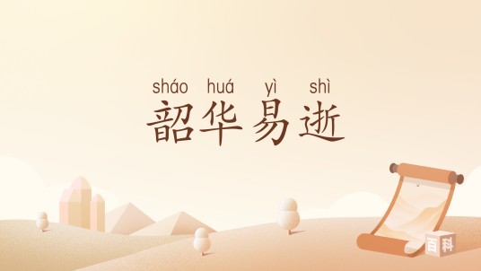 韶华易逝（汉语词汇）