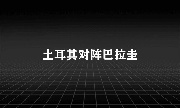 土耳其对阵巴拉圭