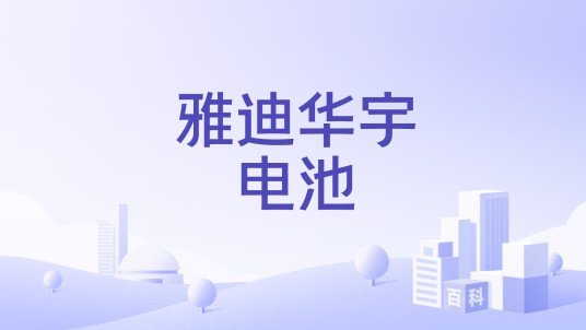 雅迪华宇电池