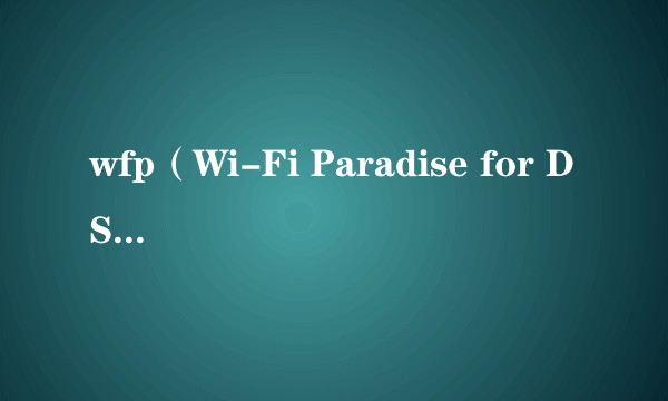 wfp（Wi-Fi Paradise for DS Wii简称）