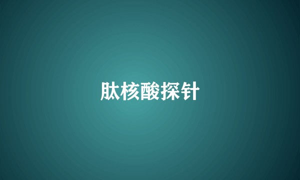 肽核酸探针
