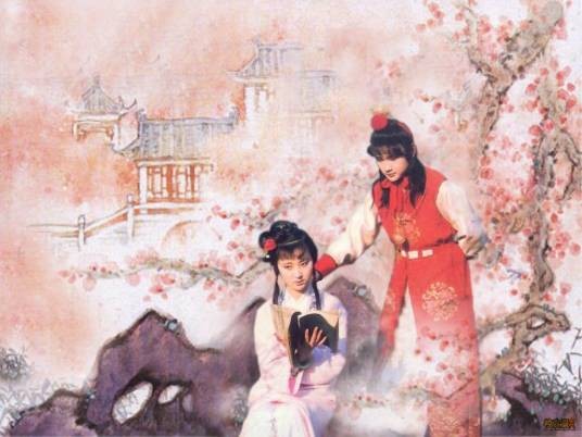 绛洞花王