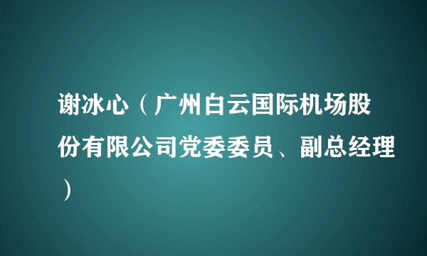 谢冰心（广州白云国际机场股份有限公司党委委员、副总经理）