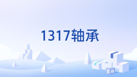 1317轴承