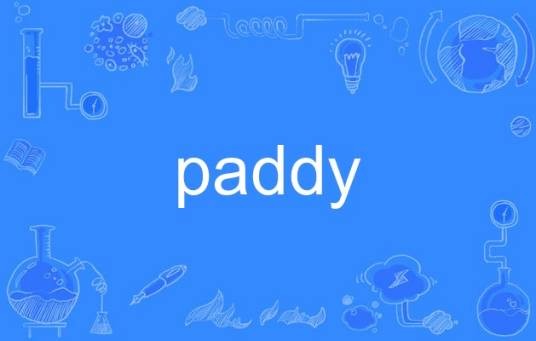paddy（英语单词）
