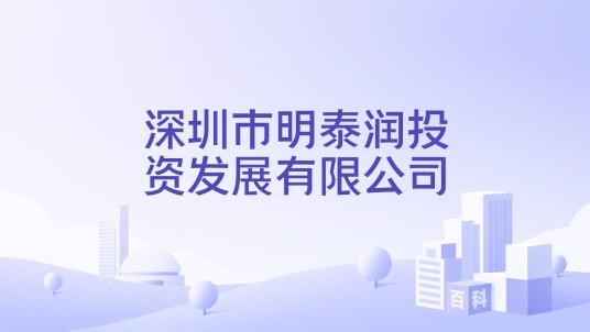深圳市明泰润投资发展有限公司