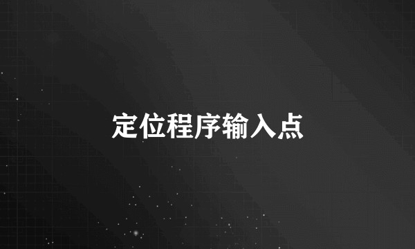 定位程序输入点