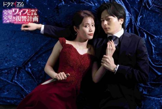 完美妻子的完美复仇计划