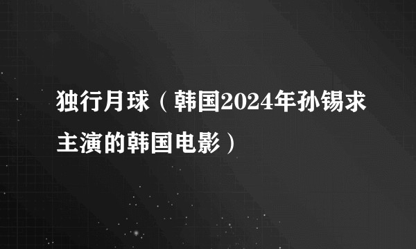 独行月球（韩国2024年孙锡求主演的韩国电影）