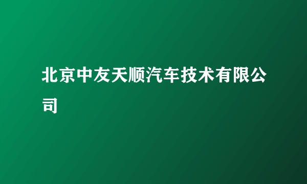 北京中友天顺汽车技术有限公司