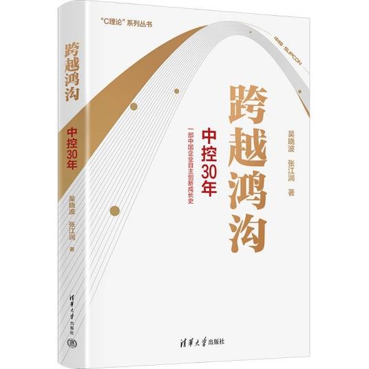 跨越鸿沟（吴晓波、张江润著商业案例研究著作）