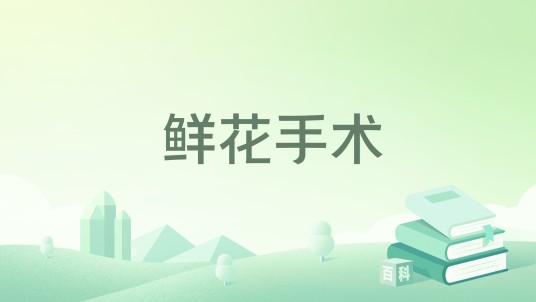 鲜花手术（2017年新星出版社出版的图书）