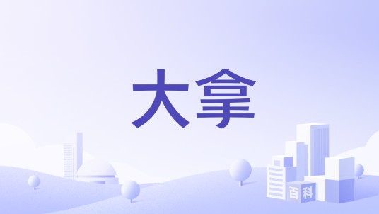 大拿（国内专注个护领域的实力品牌）