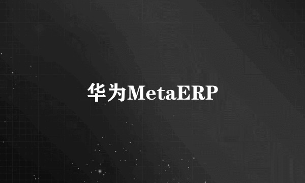 华为MetaERP