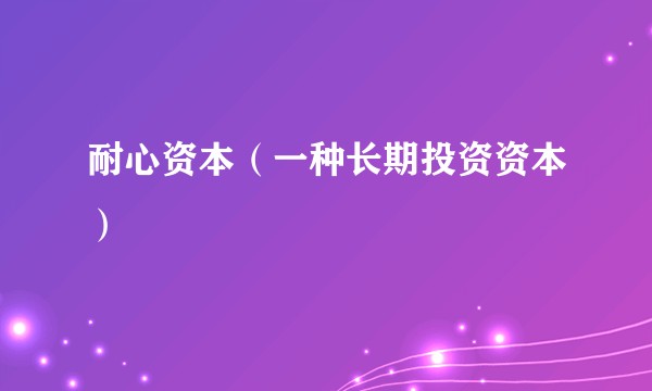 耐心资本（一种长期投资资本）
