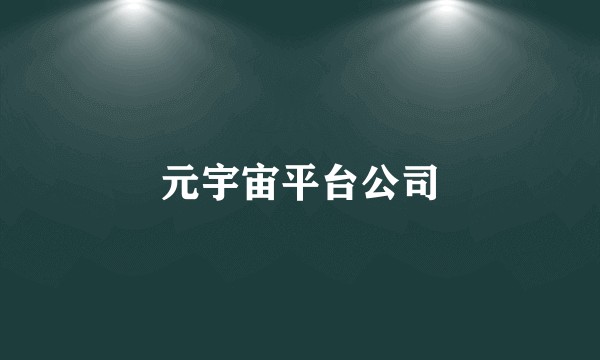 元宇宙平台公司