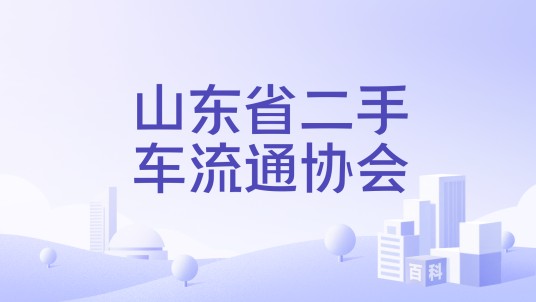 山东省二手车流通协会