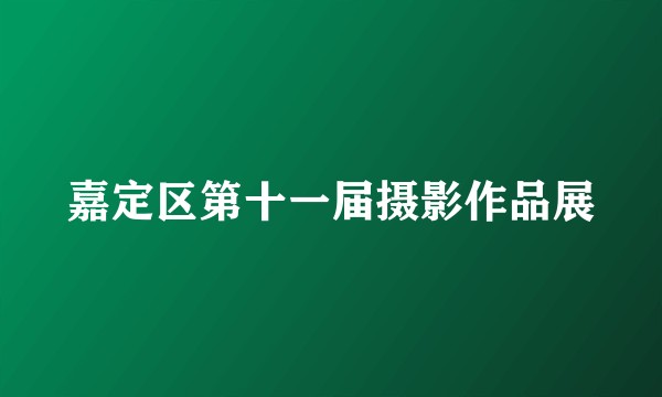 嘉定区第十一届摄影作品展