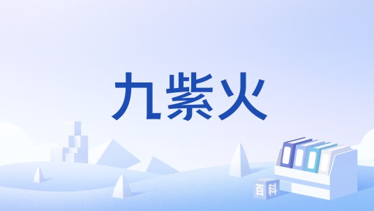 九紫火