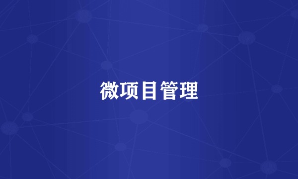 微项目管理