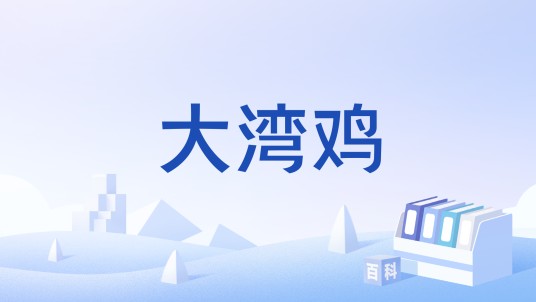 大湾鸡（网络热门文旅宣传形象）