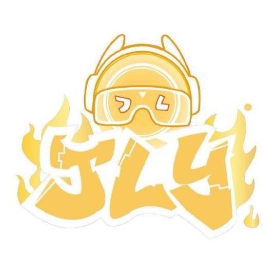 JLY王者荣耀电子竞技俱乐部