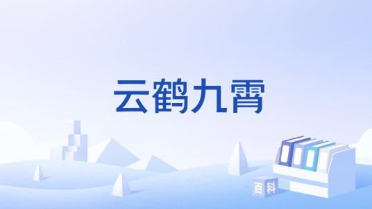 云鹤九霄