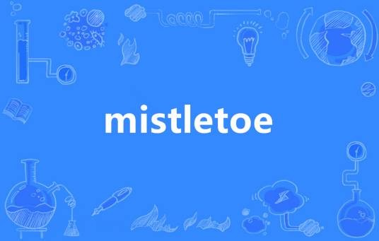 mistletoe（英语单词）