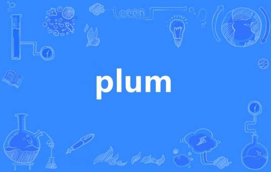 plum(英语单词)