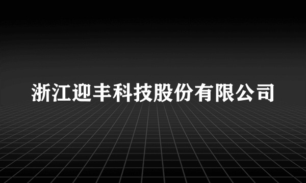 浙江迎丰科技股份有限公司
