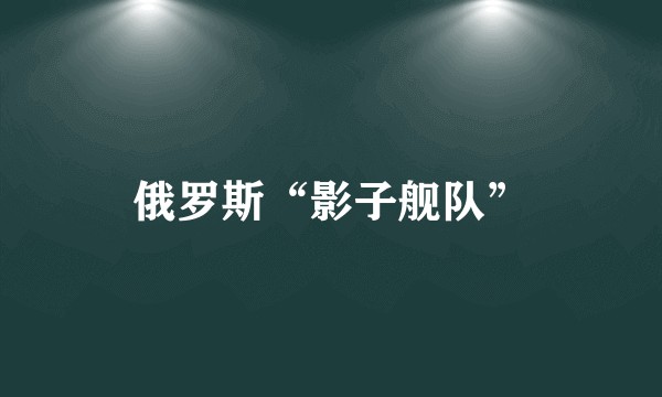 俄罗斯“影子舰队”