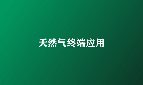 天然气终端应用