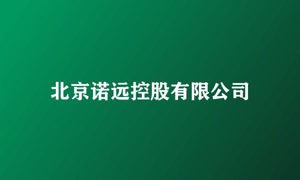 北京诺远控股有限公司
