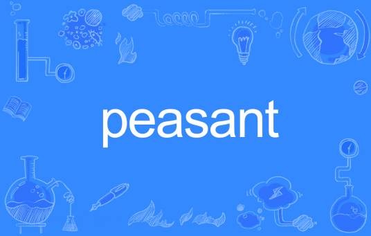 Peasant（英语单词）