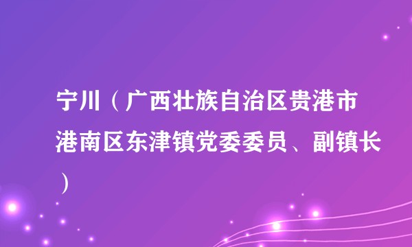 宁川(广西壮族自治区贵港市港南区东津镇党委委员、副镇长)