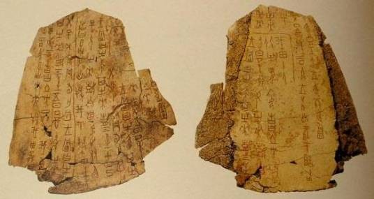 甲骨(中国古代占卜时用的龟甲和兽骨)