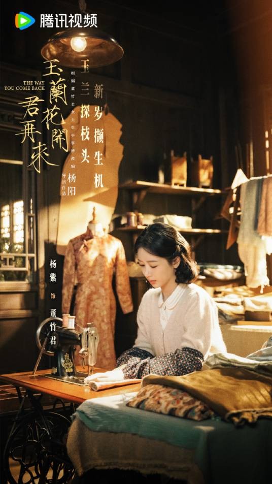 董竹君（电视剧《玉兰花开君再来》中的女主角）