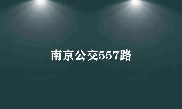 南京公交557路