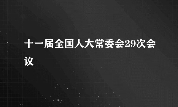 十一届全国人大常委会29次会议